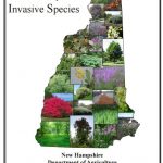 New Hampshire Guide to Upland Invasive Species by Doug Cygan