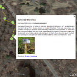 View Interactive Tour in Google Earth