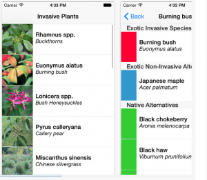 app-landscapealt