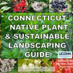 Native Landscaping Guide