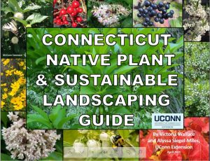 Native Landscaping Guide