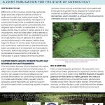 Guidelines for the Disposal of Aquatic Invasive Plants
