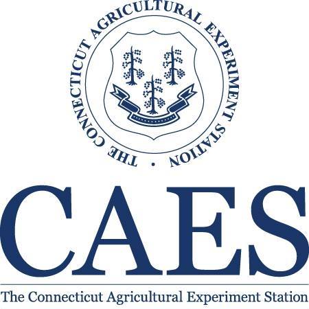 CAES logo