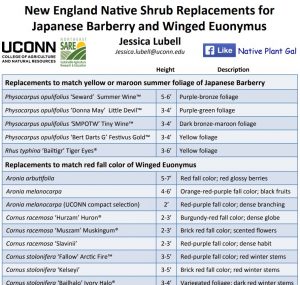 New England Native Shrub Replacements for Japanese Barberry and Winged Euonymus- Jessica Lubell, UConn