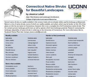 Connecticut Native Shrub List (July 2013) By: Jessica Lubell Dept. of Plant Science and Landscape Architecture, UConn