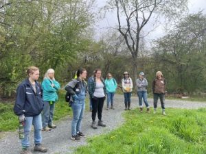 Earth Day invasive plant pulling event, Saturday, April 22
