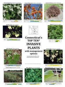 TOP TEN invasive plants poster
