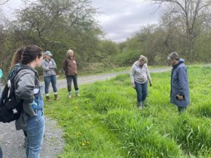Earth Day invasive plant pulling event, Saturday, April 22, 2023