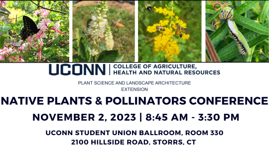 UConn Native Plants and Pollinators Conference graphic - November 2, 2023